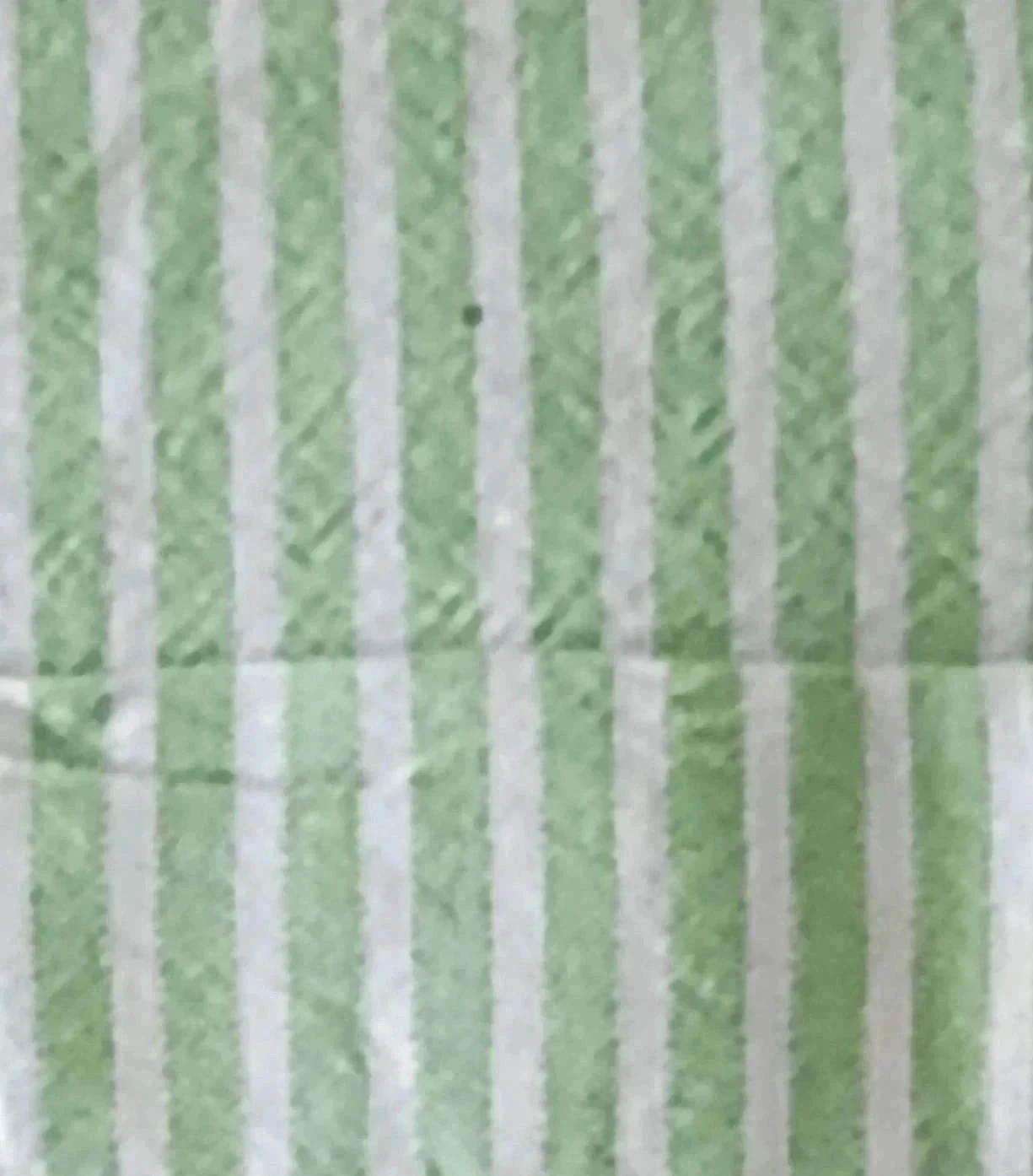 Camisa Chaps verde rayas blancas Logo bordado Talla L – photo 8